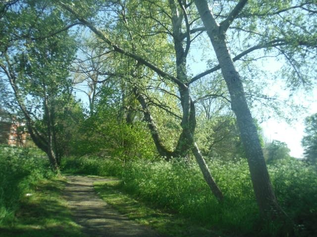 Eleven creative ways to avoid burnout